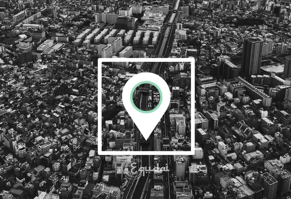 local seo